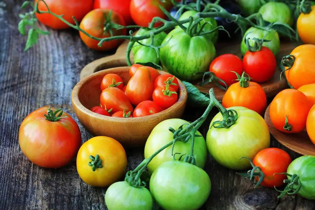 Boost Your Tomato Harvest 13 Ingenious Ways to Choose