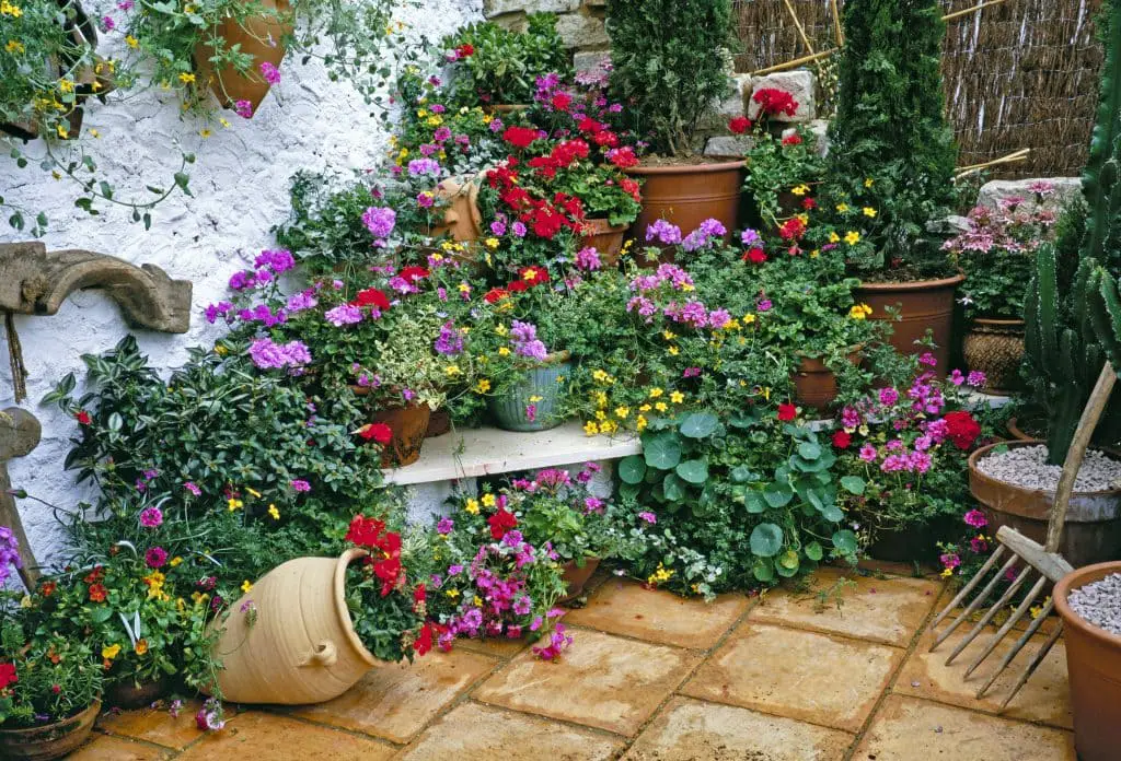 Enhance Your Garden with Vibrant Plants for Garden Troughs A Guide