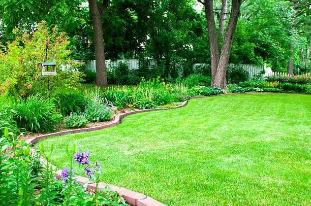 Expert Tips for Crafting Elegant Garden Edging