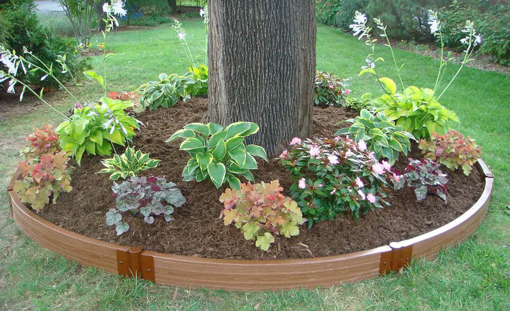 Top 5 Garden Edging Materials Pros and Cons