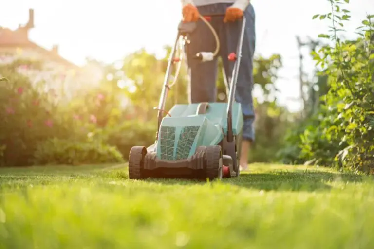 7 Key Considerations When Choosing a Lawn Mower Hire Service
