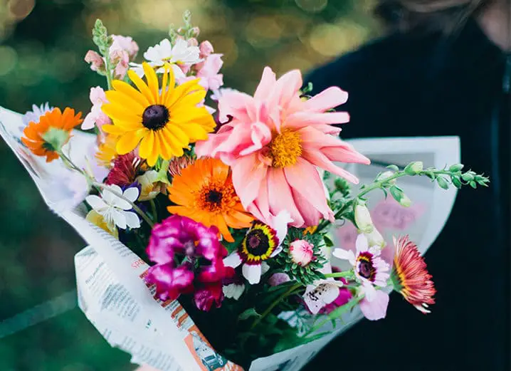 Astrology and Florals Choosing the Ideal Flower for Aries