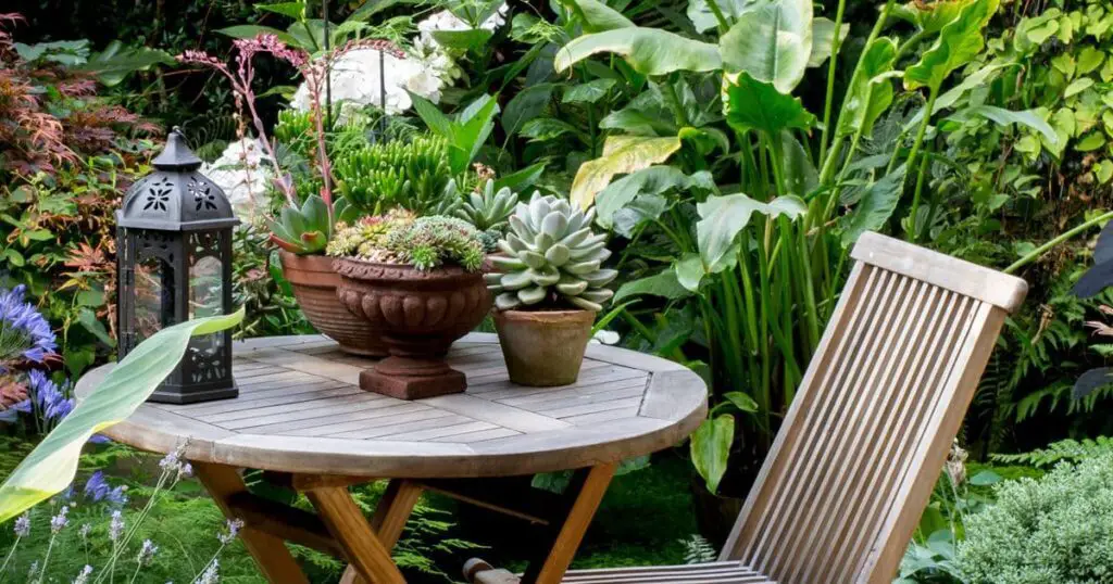 Best Outdoor Plants for London Gardens Top 10 Picks