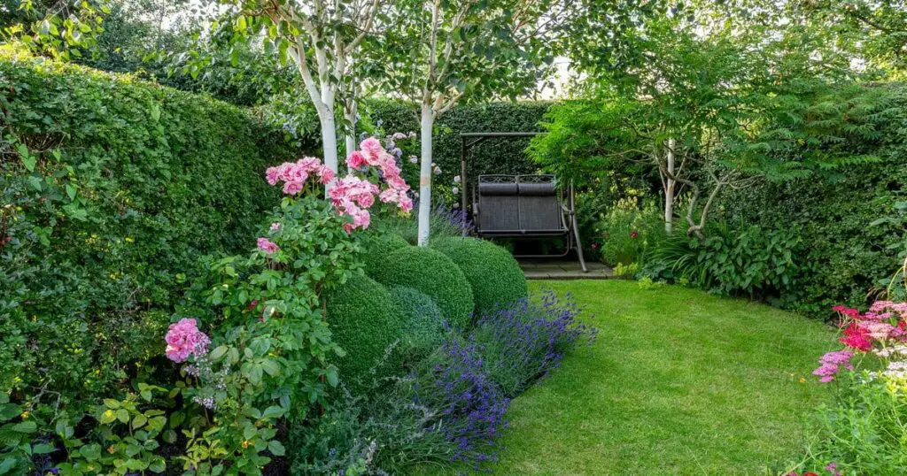 Boost Your UK Garden with These Top 10 Shrubs