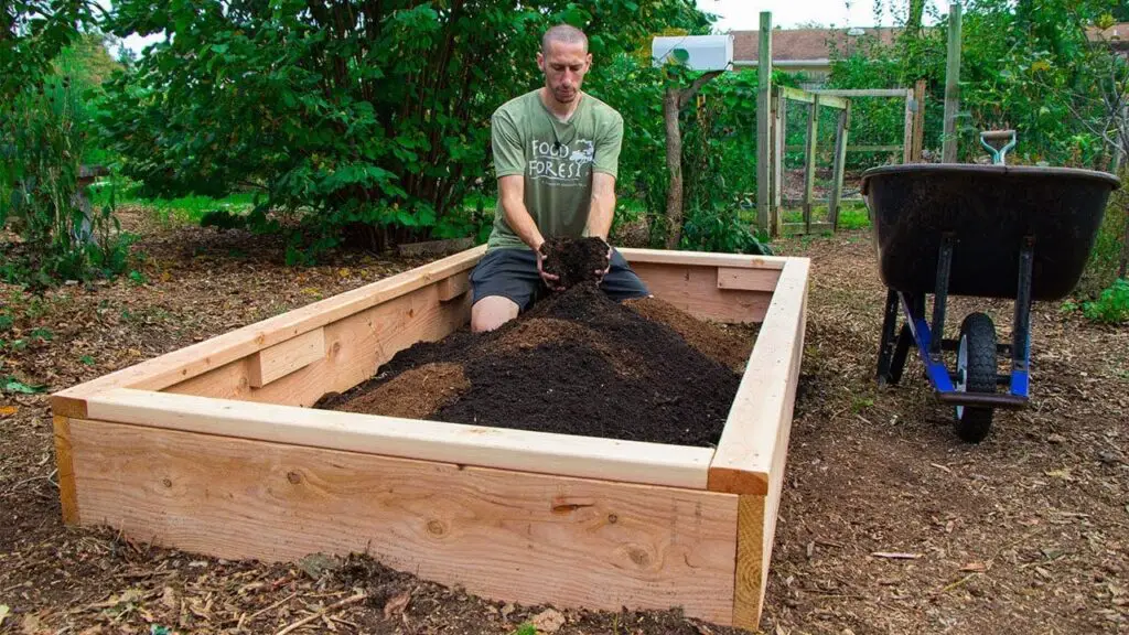 Raised Garden Bed Plans Easy, Affordable, and Beautiful