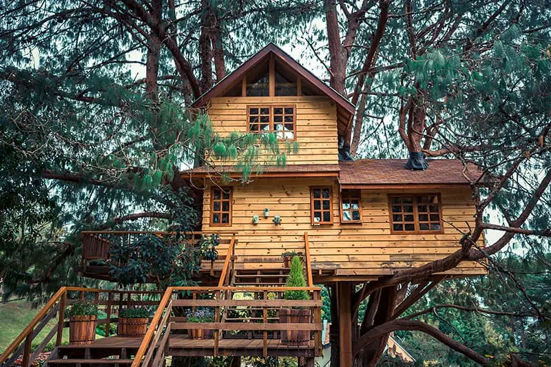 Tree Fort Ideas 10 Designs to Bring Your Childhood Dreams to Life