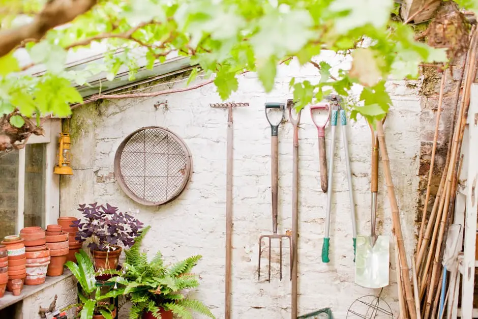 UK Garden Centre Highlights Seasonal Plants, Tools, and Expert Advice