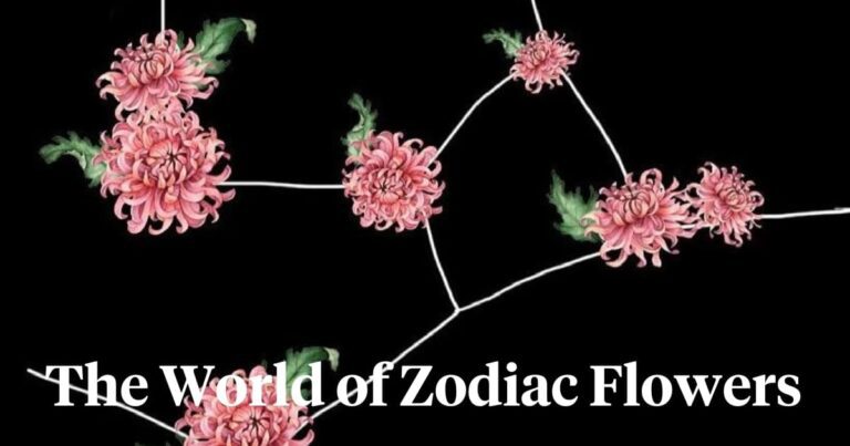 Zodiac Flowers Revealed What Your Star Sign's Bloom Means for You