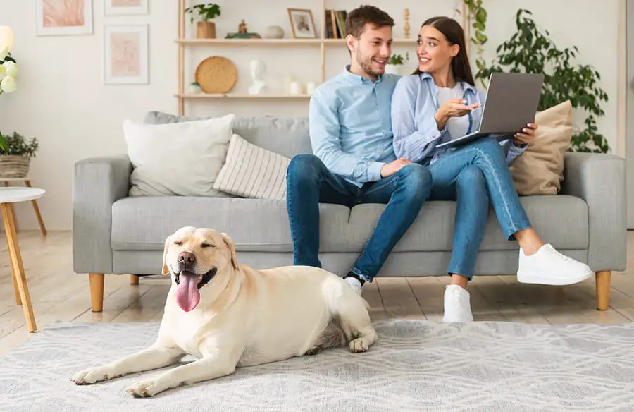 Must-have features for a pet-friendly house