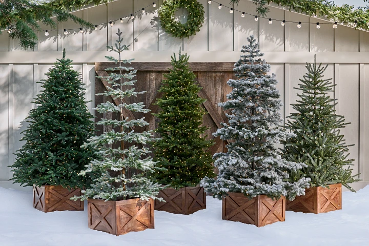 Balsam Hill: A Comprehensive Guide to the Best Artificial Christmas Trees and Décor"