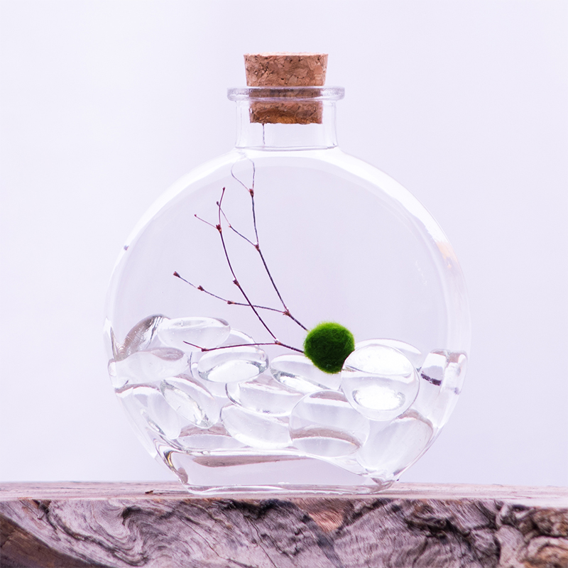 Looking to add a touch of nature to your home in a stylish and low-maintenance way? A Marimo moss ball terrarium is the perfect solution!